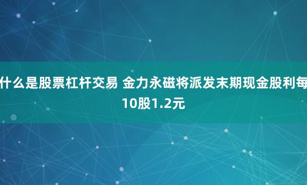 什么是股票杠杆交易 金力永磁将派发末期现金股利每10股1.2元