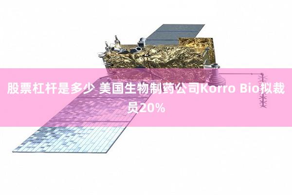 股票杠杆是多少 美国生物制药公司Korro Bio拟裁员20%