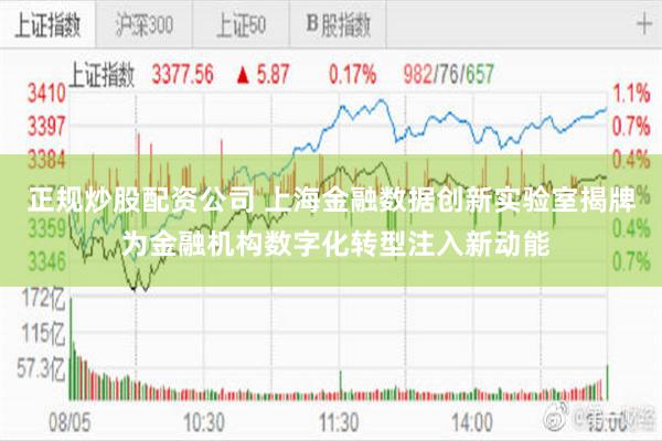 正规炒股配资公司 上海金融数据创新实验室揭牌 为金融机构数字化转型注入新动能