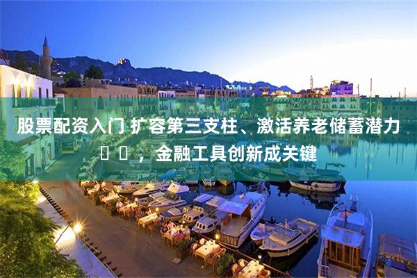 股票配资入门 扩容第三支柱、激活养老储蓄潜力​​，金融工具创新成关键
