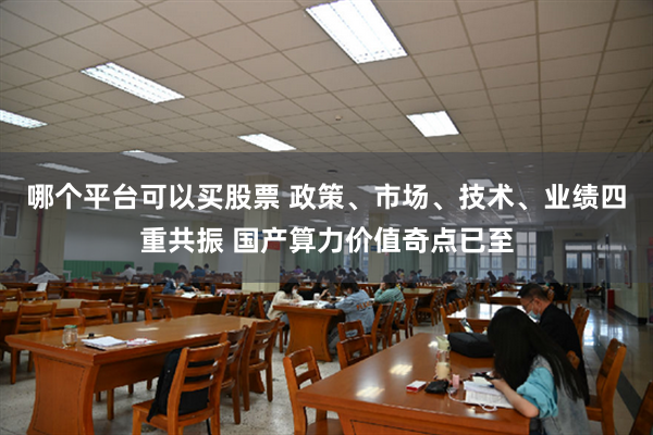 哪个平台可以买股票 政策、市场、技术、业绩四重共振 国产算力价值奇点已至