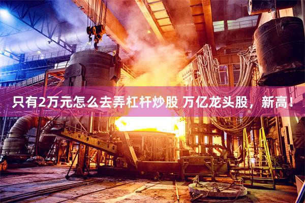 只有2万元怎么去弄杠杆炒股 万亿龙头股，新高！