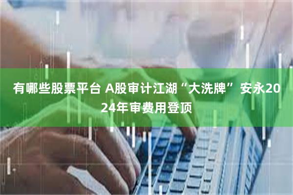 有哪些股票平台 A股审计江湖“大洗牌” 安永2024年审费用登顶