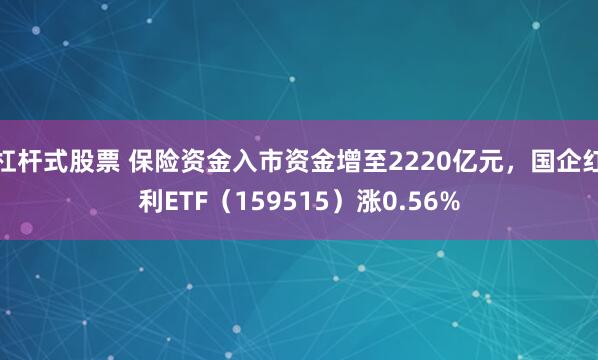 杠杆式股票 保险资金入市资金增至2220亿元，国企红利ETF（159515）涨0.56%