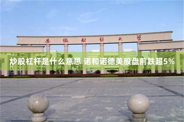 炒股杠杆是什么意思 诺和诺德美股盘前跌超5%