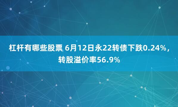 杠杆有哪些股票 6月12日永22转债下跌0.24%，转股溢价率56.9%