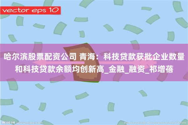 哈尔滨股票配资公司 青海：科技贷款获批企业数量和科技贷款余额均创新高_金融_融资_祁增蓓