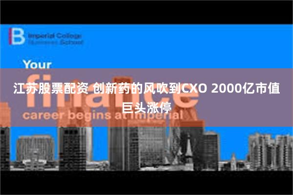 江苏股票配资 创新药的风吹到CXO 2000亿市值巨头涨停