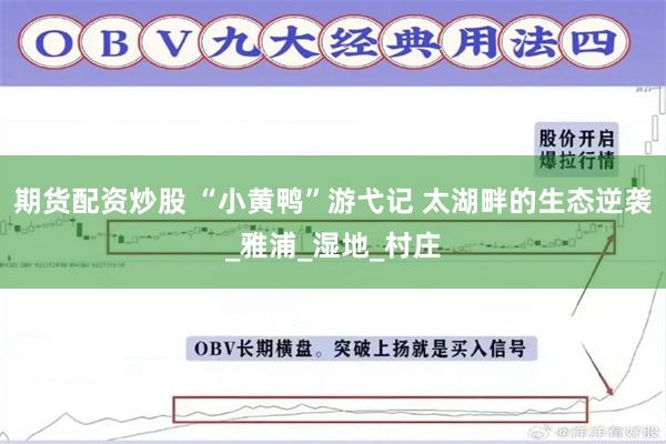 期货配资炒股 “小黄鸭”游弋记 太湖畔的生态逆袭_雅浦_湿地_村庄