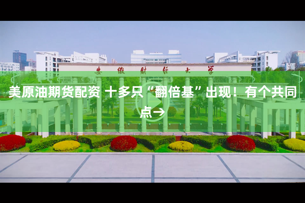 美原油期货配资 十多只“翻倍基”出现！有个共同点→